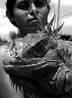 Woman_Iguana