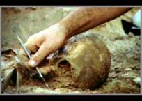 Guevara's Skull
