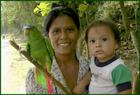 Mother child parrot