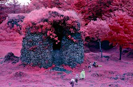 Unexcavated site