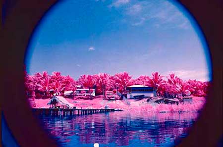 Flores