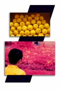 La Camisa Limon